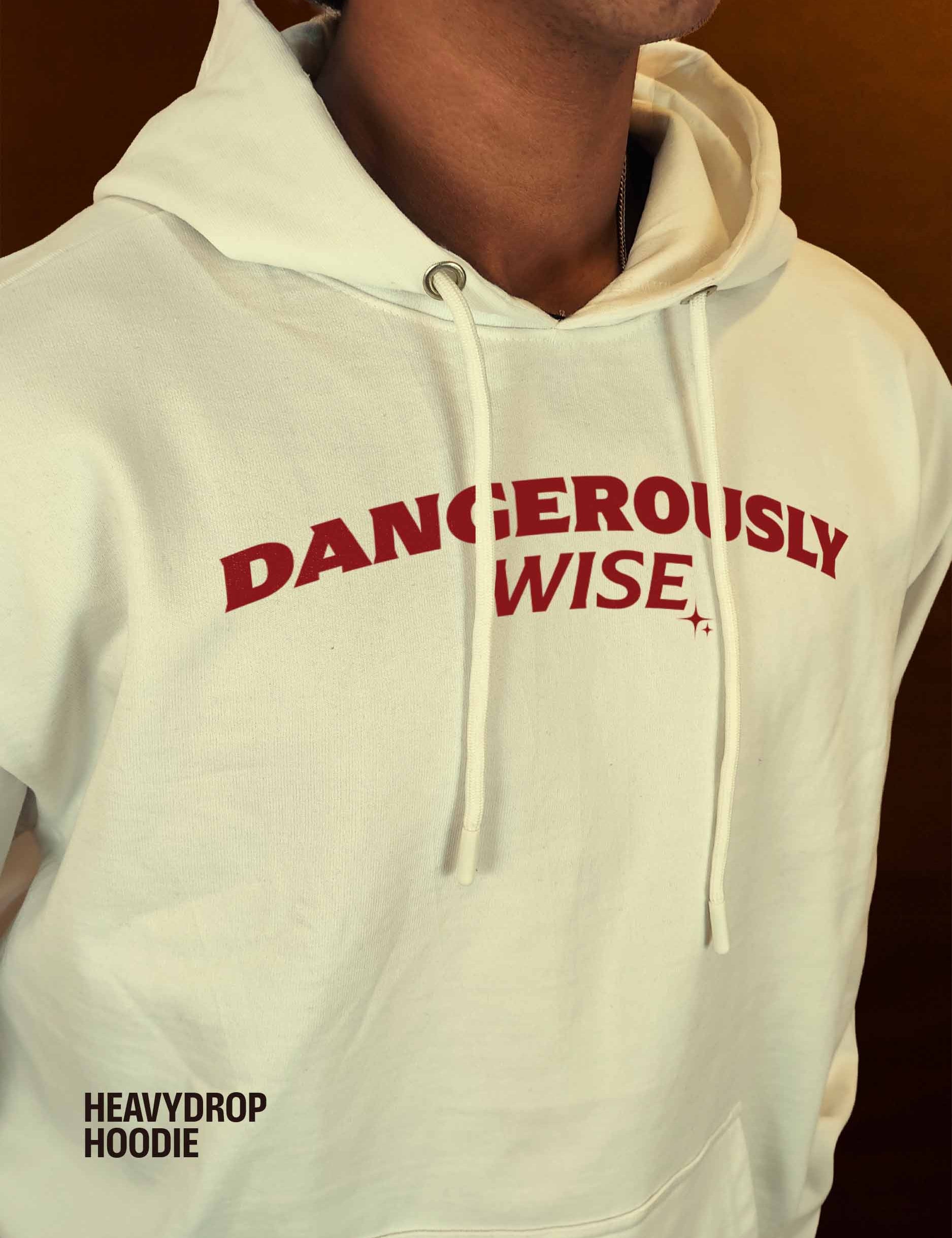 DANGEROUSLYWISEHeavydropHoodie-2.1F.jpg